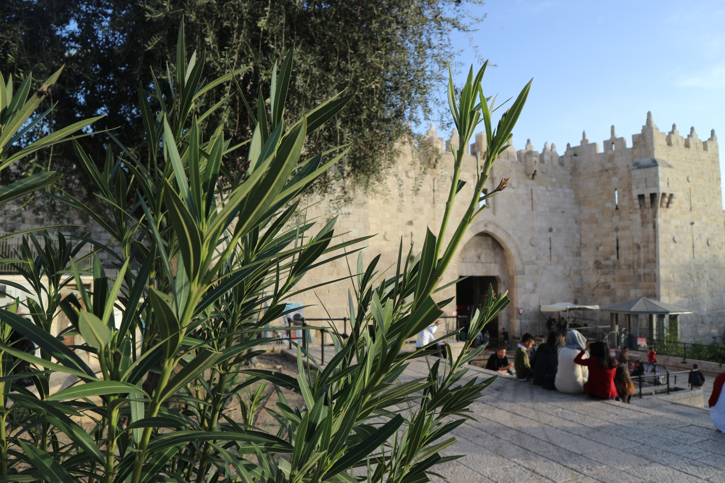 Damascus Gate Jeruzalem