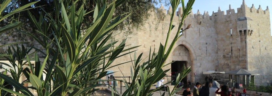 Damascus Gate Jeruzalem