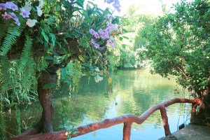 Khaomao-Khaofang Forest restaurant