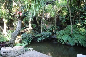 Beautiful Nature Khaomao-Khaofang Forest restaurant