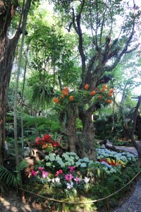 Thai Dish Beautiful Nature Khaomao-Khaofang Forest restaurant