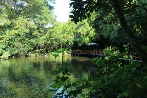 Khaomao-Khaofang Forest restaurant