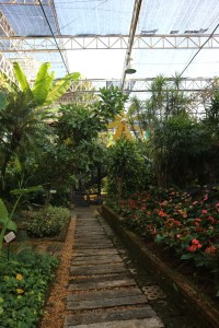 Royal Park Rajapruek