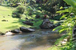 Pongyang Angdoi Restaurant