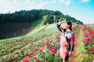 Mon Chaem (Mon Jam) Chiang Mai