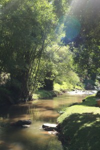Pongyang Angdoi Restaurant