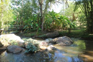 Pongyang Angdoi Restaurant