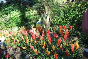 Royal Park Rajapruek