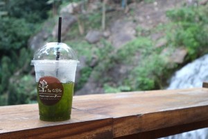 Instafamous Chiang Mai waterfall Jungle De Cafe