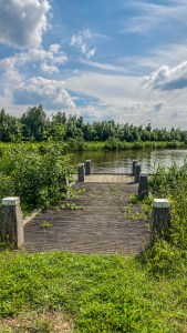 Groene Knoop Zeeuws-Vlaanderen