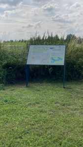 Groene Knoop Zeeuws-Vlaanderen