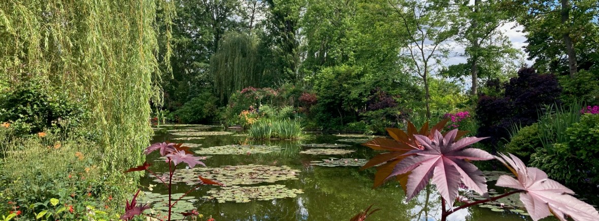 Garden Monet