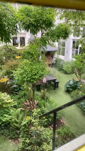 Binnentuin Amsterdam