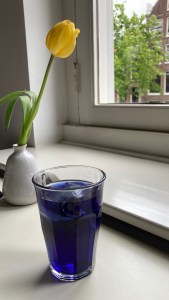 Droog amsterdam hotspot